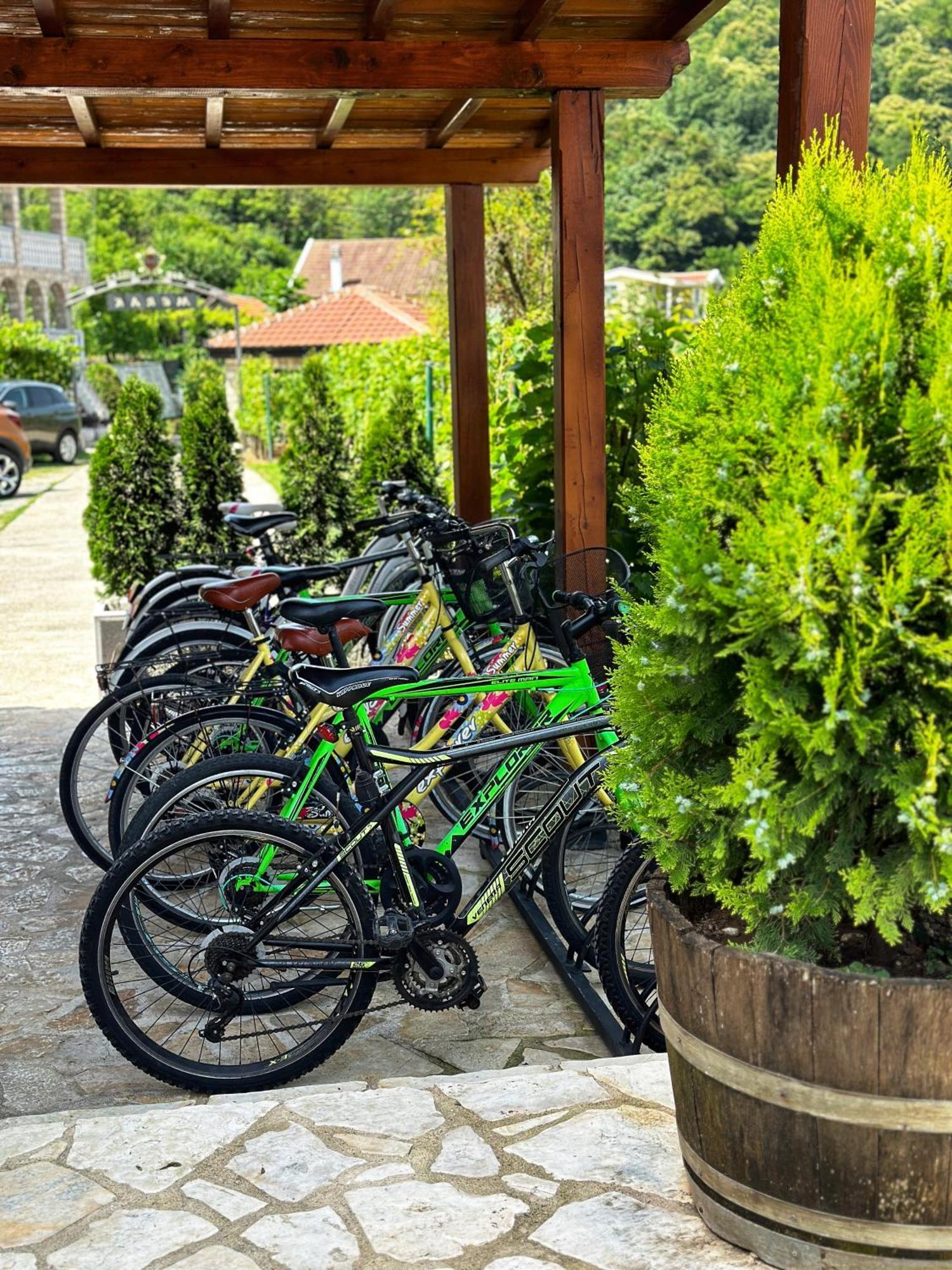Eco Villas Merak Virpazar Buitenkant foto
